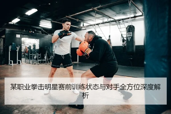 某职业拳击明星赛前训练状态与对手全方位深度解析